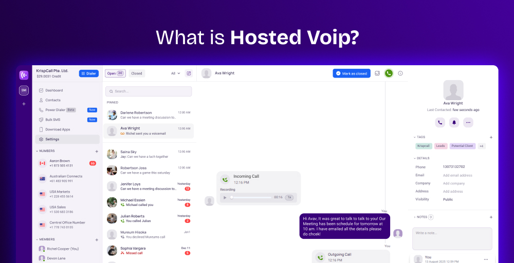hosted voip definition in diagram